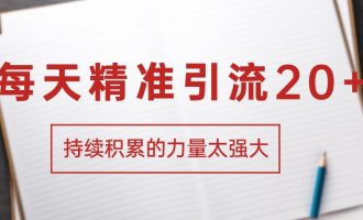 每天精准引流20+，持续积累的力量太强大【19】