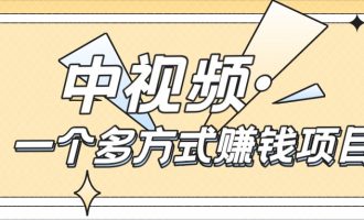 中视频，一个多方式赚钱项目【30】